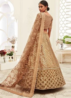 Beige Net Embroidered N Sequins Work Umbrella Lehenga Wedding Wear -Mahra Clothing Shop Beige Net Embroidered N Sequins Work Umbrella Lehenga GHSAJ42337709 b