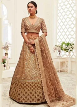 Beige Net Embroidered N Sequins Work Umbrella Lehenga Wedding Wear -Mahra Clothing Shop Beige Net Embroidered N Sequins Work Umbrella Lehenga GHSAJ42337709 u