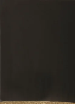 Teen Girls Black Georgette Mirror Embroidery Beige Lehenga Festive Wear -Mahra Clothing Shop Black Georgette Mirror Embroidery Beige Lehenga GHBS02205026 rrc3 1