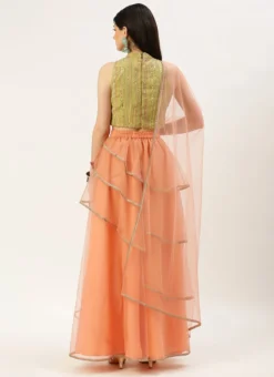 Teen Girls Green Georgette Sequins N Peach Net Lehenga Festive Wear -Mahra Clothing Shop Green Georgette Sequins N Peach Net Lehenga GHBS02210904 b 1