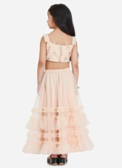 Skirt From Kids Girls Light Peach Net Sequins Embroidered Lehenga After Six Wear -Mahra Clothing Shop Kids Girls Light Peach Net Sequins Embroidered Lehenga KDGGHBS02212521 b 1