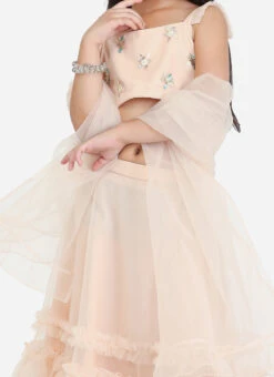Dupatta From Kids Girls Light Peach Net Sequins Embroidered Lehenga After Six Wear