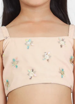 Dupatta From Kids Girls Light Peach Net Sequins Embroidered Lehenga After Six Wear -Mahra Clothing Shop Kids Girls Light Peach Net Sequins Embroidered Lehenga KDGGHBS02212521 rrc1