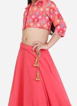 Skirt From Kids Girls Multicolored Embroidery Collar Neck Blouse N Skirt After Six Wear