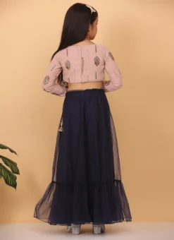Skirt From Kids Girls Pink Embroidered Georgette N Blue Net Lehenga After Six Wear -Mahra Clothing Shop Kids Girls Pink Embroidered Georgette N Blue Net Lehenga KDGGHBS02302285 b