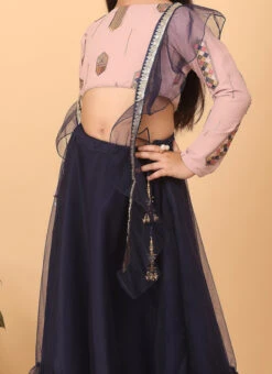 Skirt From Kids Girls Pink Embroidered Georgette N Blue Net Lehenga After Six Wear