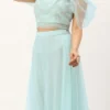 Skirt From Light Sea Green Net Embroidered Lehenga After Six Wear