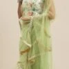 Teen Girls Multicolored N Green Embroidered Ruffle Net Saree Party Wear