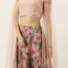 Teen Girls Multicolored N Pink Embroidered Crop Top N Skirt Party Wear