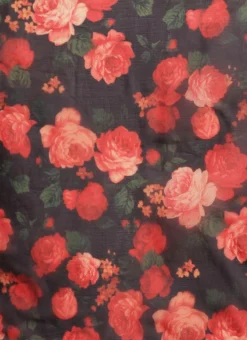 Multicolored Organza Saree Festive Wear -Mahra Clothing Shop Multicolored Organza Saree SABS02202385 rrc3