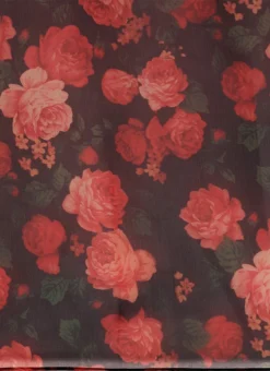 Multicolored Organza Saree Festive Wear -Mahra Clothing Shop Multicolored Organza Saree SABS02202385 rrc4