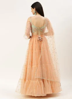 Skirt From Multicoloured N Peach Net Embroidered Lehenga After Six Wear -Mahra Clothing Shop Multicoloured N Peach Net Embroidered Lehenga GHBS02211103 b