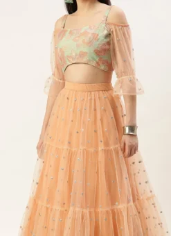 Skirt From Multicoloured N Peach Net Embroidered Lehenga After Six Wear