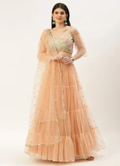 Skirt From Multicoloured N Peach Net Embroidered Lehenga After Six Wear -Mahra Clothing Shop Multicoloured N Peach Net Embroidered Lehenga GHBS02211103 u