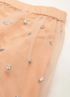 Skirt From Multicoloured N Peach Net Embroidered Lehenga After Six Wear -Mahra Clothing Shop Multicoloured N Peach Net Embroidered Lehenga GHBS02211103 rrc2