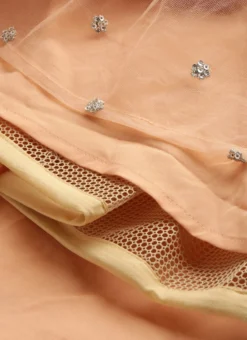 Skirt From Multicoloured N Peach Net Embroidered Lehenga After Six Wear -Mahra Clothing Shop Multicoloured N Peach Net Embroidered Lehenga GHBS02211103 rrc4