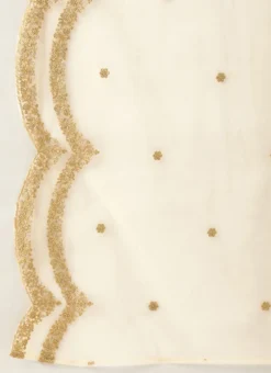 Dupatta From Peach Art Silk Jacquard Gown With Dupatta After Six Wear -Mahra Clothing Shop Peach Art Silk Jacquard Gown With Dupatta IWBS02302268 rrc4