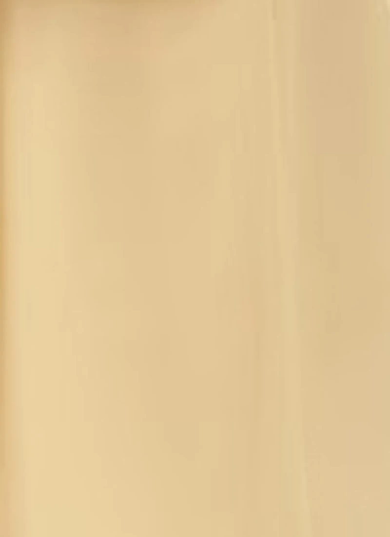 Pista Green Taffeta Top Festive Wear 6 Pista Green Taffeta Top Festive Wear - Image 6