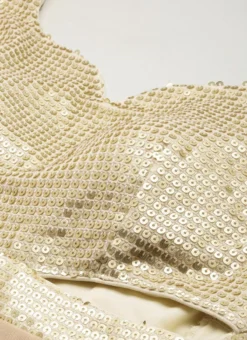 Silver Sequins Embroidered N Light Beige Net Gown Festive Wear