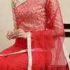 Teen Girls White Brocade N Pink Net Border Saree Festive Wear