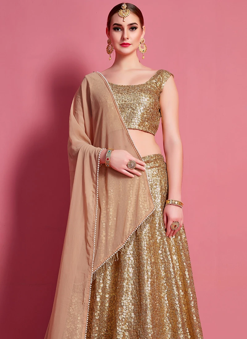 Beige Net Designer A Line Lehenga Party Wear 4 Beige Net Designer A Line Lehenga Party Wear - Image 4
