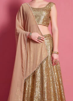 Beige Net Designer A Line Lehenga Party Wear