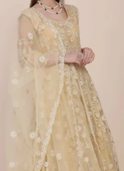 Beige Net Embroidered Work Anarkali Suit Party Wear