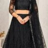 Black Net Embroidered Umbrella Lehenga Party Wear