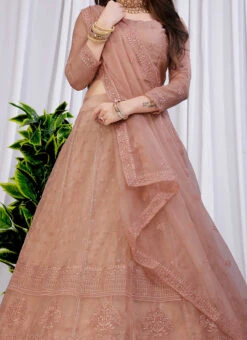 Brown Net Sequins A Line Lehenga Party Wear