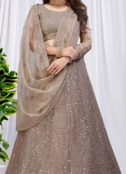 Fawn Net Sequins A Line Lehenga Party Wear