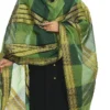 Green Handloom Cotton Weaving Work Dupatta Work Wear