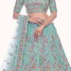 Green Net Thread N Sequins Work Umbrella Lehenga Wedding Wear