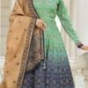 Light Green Art Silk Gown Party Wear