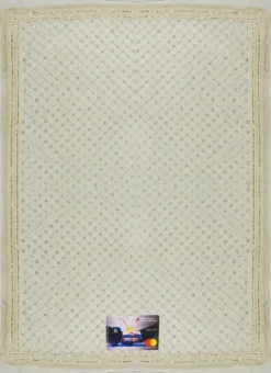 Off White Net Dupatta Party Wear -Mahra Clothing Shop off white net fabric dpshi120 b