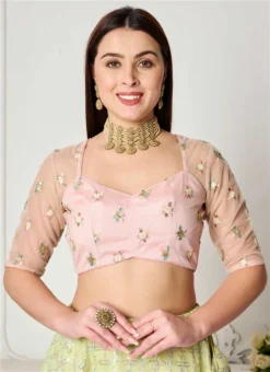 Peach Embroidered Net Blouse Festive Wear -Mahra Clothing Shop peach embroidered net blouse BLBS02307625 b