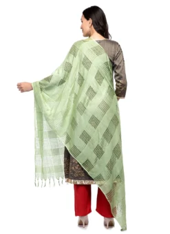 Pista Green Blended Cotton Dupatta After Six Wear -Mahra Clothing Shop pista green blended cotton dupatta dpsdmfd201 b