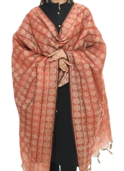 Rust Handloom Cotton Weaving Work Dupatta Work Wear