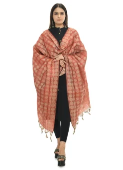 Rust Handloom Cotton Weaving Work Dupatta Work Wear -Mahra Clothing Shop rust handloom cotton weaving work dupatta dpdmimfd073 u